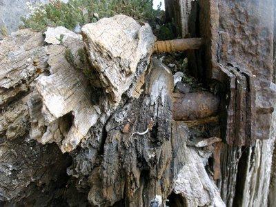 est ce que le shmilblik...?