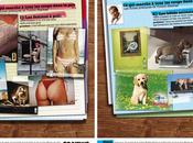 news nous donne belle lecon