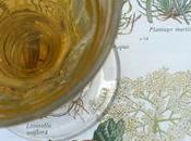 Apéritif maison.....aux fleurs sureau