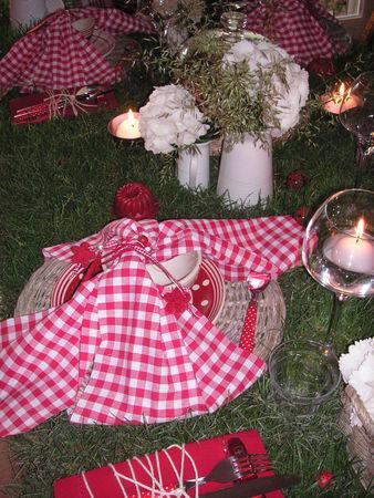 table_picnic_048