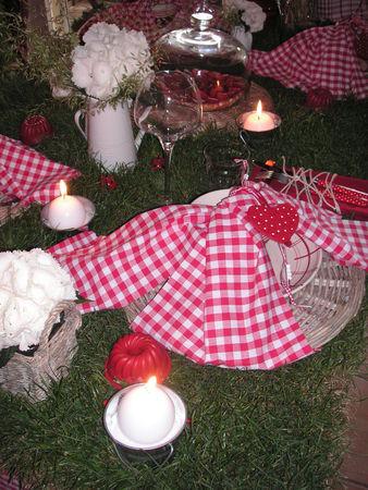 table_picnic_035