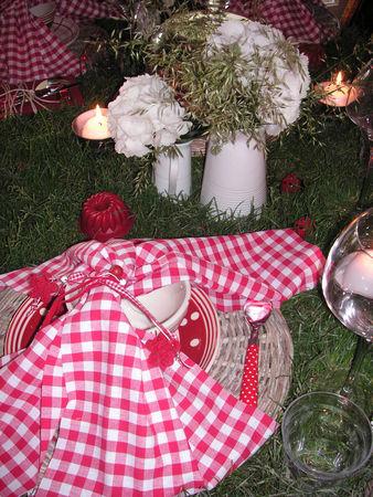 table_picnic_020