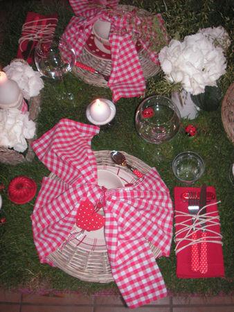 table_picnic_014