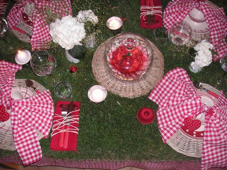 table_picnic_013