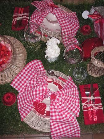 table_picnic_012