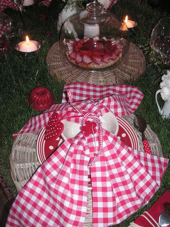 table_picnic_008