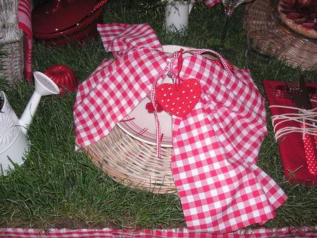table_picnic_005
