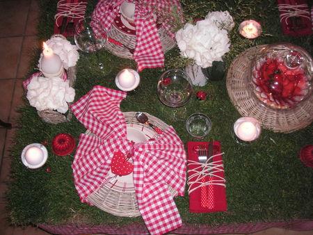 table_picnic_060