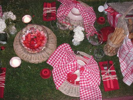 table_picnic_059