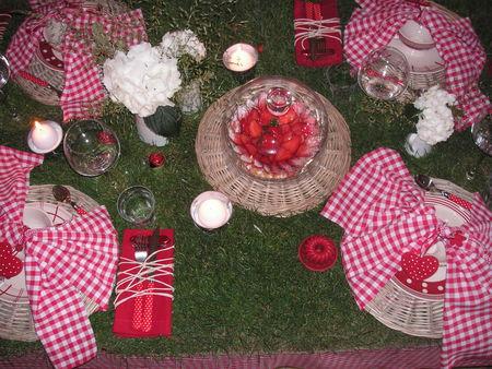table_picnic_058