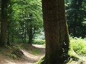 vous souhaite bonne semaine!A bientôt.