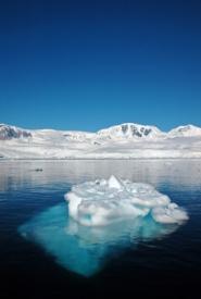 banquise antarctique