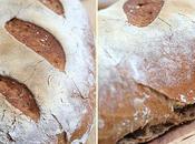 Pain campagne farines