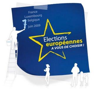 Elections européennes : les partis politiques responsables du désintérêt et de l'abstention