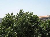 souffle, peu, beaucoup, passionnément