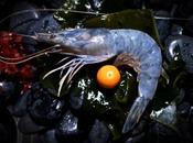 Nouvelle Calédonie Paris avec Obsiblue