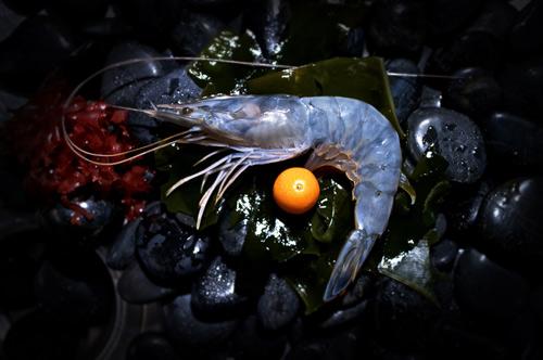 La Nouvelle Calédonie à Paris avec Obsiblue