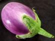 L'aubergine violette