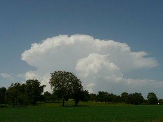Rhin et Lac de Constance