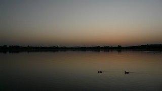 Rhin et Lac de Constance