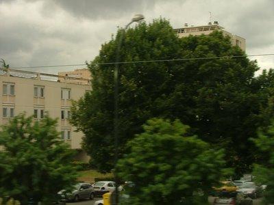 les arbres et le reste