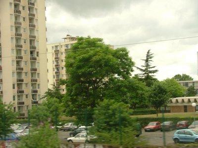 les arbres et le reste