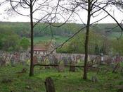 toute marche long d'un cimetière