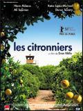 citronniers