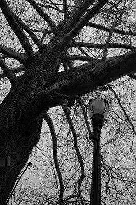 Chagrin oublié from Minui