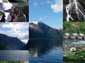 Visite fjords brioches suédoises Kanelbullar