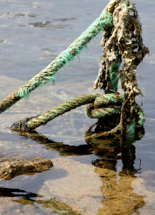 LES-AMARRES-DU-CAPITAL,-1