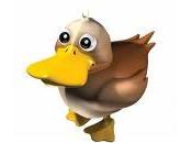 fait, chouchou c(o)anard