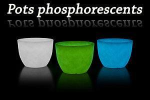 T'ite virée chez la Truffe...