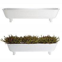 T'ite virée chez la Truffe...