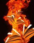 Le ministre égyptien s'excuse d'avoir parlé de bruler les livres juifs