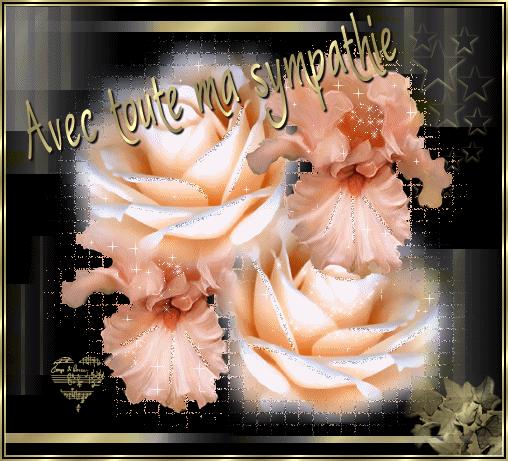 Image hébergée par Casimages.com : votre hébergeur d images simple et gratuit