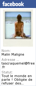 Profil Facebook de Malin Maligne