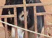 Trucs astuces pour photographier