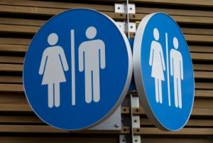 Toilettes (Illustration)