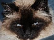 Parce qu'aujourd'hui, c'est comme dimanche...