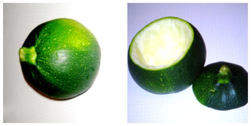 collage-courgettes-crues500px1