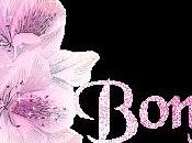 Vous avez jardin, quoi faire Juin