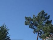 Ciel lundi bleu Oléron