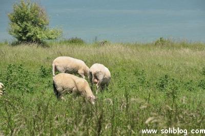 Soliblog - Clic clic clic