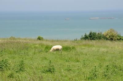 Soliblog - Clic clic clic