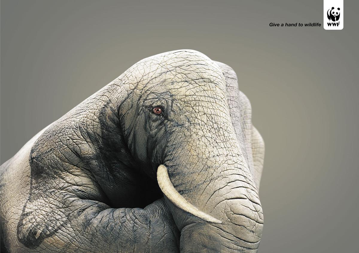 WWF - Give a hand to wildlife