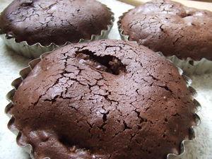 Les Cho croc'ange DSCF4881