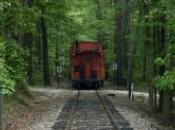 femme couche sous train survit