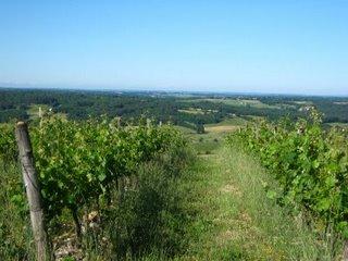 En un week-end, on bascule dans l'été