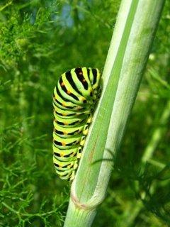 En un week-end, on bascule dans l'été